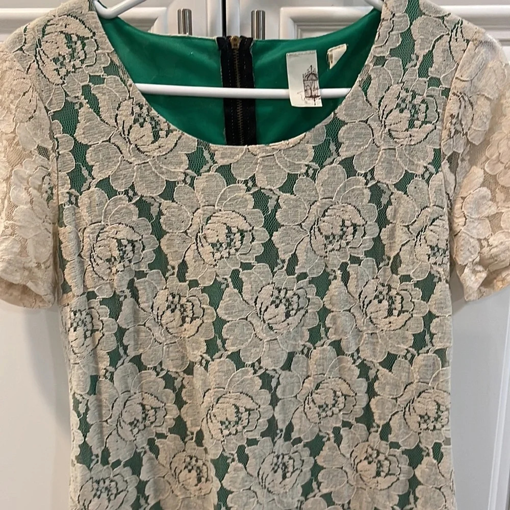 Francesca’s Collection Birdcage Stretch Lace Shift Dress Large Beige Gre… - Picture 4 of 14